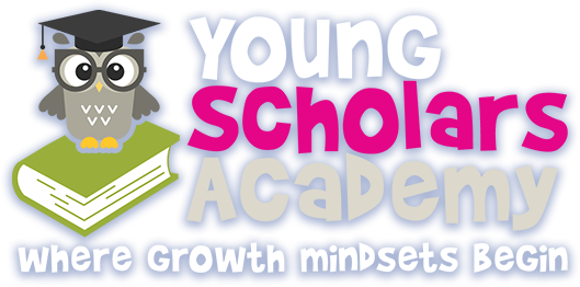 Young Scholars Academy